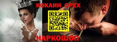 шишки Новодвинск