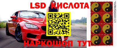 твердый Новозыбков