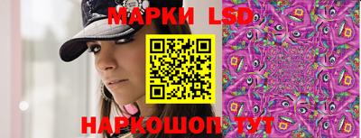 шишки Новодвинск