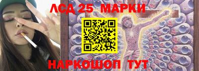 шишки Новодвинск