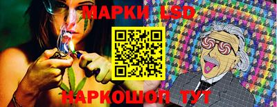 шишки Новодвинск