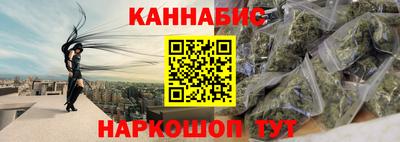 шишки Новодвинск