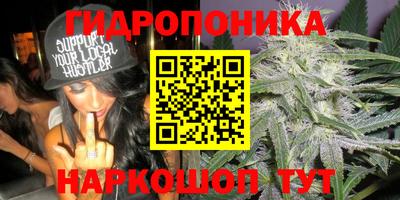 экстази Новокубанск