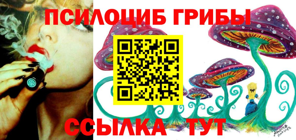 Уварово  Псилоцибиновые грибы Psilocybe  Вход с VPN 